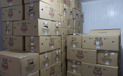 Ulus Gıda 37 Sanayi Ticaret Ltd. Şti.