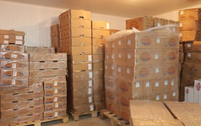 Ulus Gıda 37 Sanayi Ticaret Ltd. Şti.