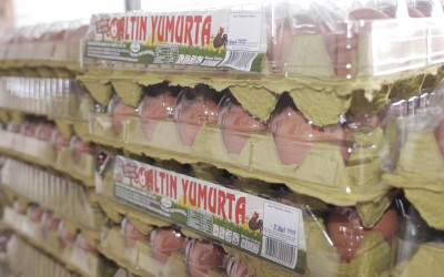 Ulus Gıda 37 Sanayi Ticaret Ltd. Şti.